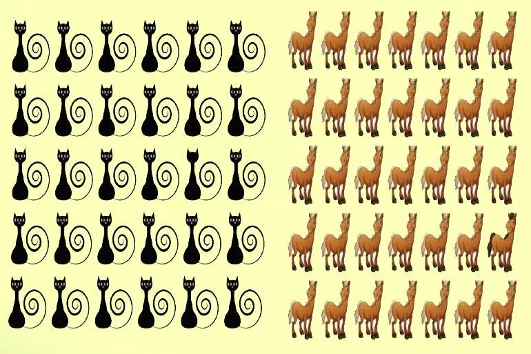 Tìm ra con vật khác biệt trong những con vật trong bức hình