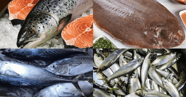 Các loại cá giàu omega-3 cực tốt cho mắt