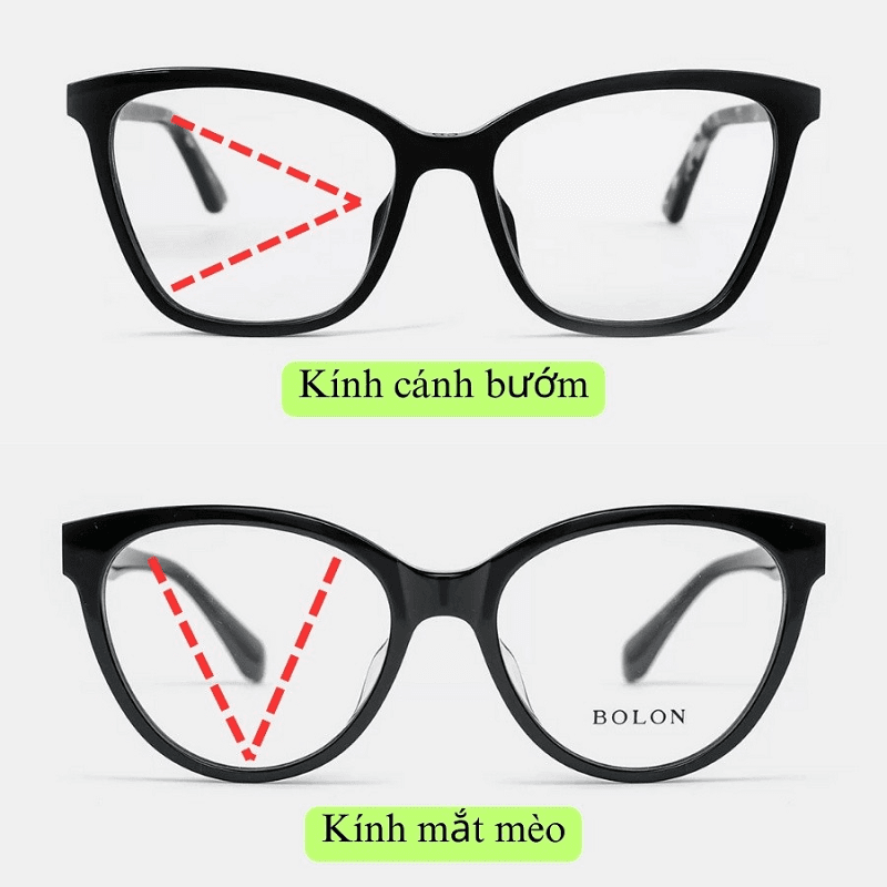 So sánh gọng hình bướm và gọng mắt mèo chi tiết